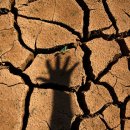 브라질, 수 십년만에 최악의 가뭄… 140개 도시에서 물 배급 이미지