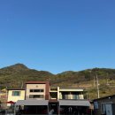 돌고래풀하우스 이미지