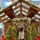 현대썬앤빌대구 정문 앞 | 대구 더현대 크리스마스 팝업 주말 웨이팅 예약 후기