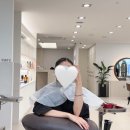 지나헤어짱 | 부천시청역 미용실 르비아헤어 애쉬그레이 염색 후기 부천 머리 잘 하는 곳