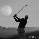 파스크린골프연습장 이미지