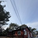 숲속오두막 | [영덕 맛집] 자연송이 향 가득한 숲속 오두막 카페, '번영 커피&amp;스프' 후기 (feat.파나크영덕, 강구항)