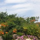 블루베리사슴농장 이미지