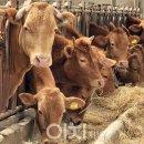 준수농장 이미지