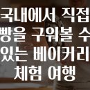 아침햇살베이커리 티스토리