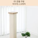 (주)파우제 이미지