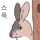 가츠몽 상일역점 이미지