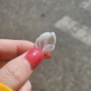 미로네분식 이미지