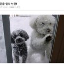 아리랑도가니탕