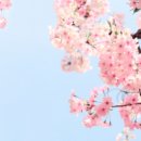 변호사설세웅법률사무소 이미지