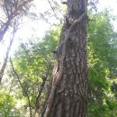 송담1로 이미지