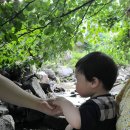 휘서농장 이미지