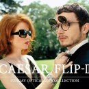 안경백서 이미지