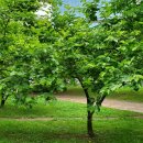 예술회관역 11번출구 이미지