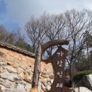 가랑잎새 이미지