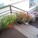 옥수동성당 이미지