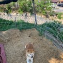 교현주유소 이미지