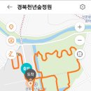 천년숲 이미지