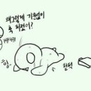 레이크헤어 이미지