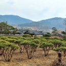 한영한마음아동병원건너 이미지