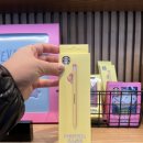 [🛒] 스타벅스 MD 캠퍼스 베어리 파우치 키링🪀장난감 휴대폰 파우치 키링☎️
