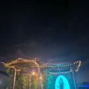 🐾반려견과 여름 물놀이! 경주 솜다리키즈풀빌라 후기🌿