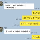 뚱땅뚱땅 걷던 우리집 강아지 사진푼다 이미지