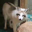 오전테니스장 이미지