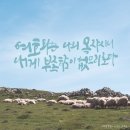 캘리 이미지
