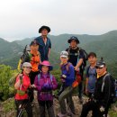 재박이네 이미지