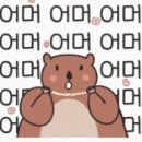 신풍관