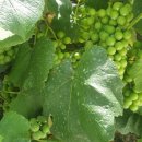 훈이농장 이미지