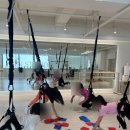 바른치킨 울산 구영점 | 울산 구영리 제이민 필라테스 번지 바레 : 요즘 핫한 제이민 키즈 번지핏 수업 소개해요