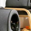 금동이PC 이미지