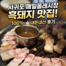 올레 | 서귀포 흑돼지 맛집 매일올레돈 내돈내산 후기
