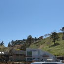 산업로-7 | [구례]노란 수선화 가득가득🌼 ‘지리산치즈랜드’ 방문후기