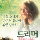 드리머비 Daum카페