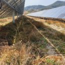 무선태양광발전소 이미지