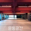 운동하는 코끼리 이미지