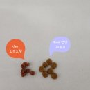 리틀바이트 | 더독앤캣 - 닥터소프트 웰 well 리틀바이트 960g (초소형견용) 후기!!