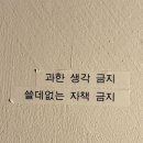 해삐까까 | 첫사랑니 같았던 시험기간, 독학사 벼락치기 후기