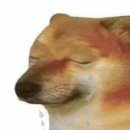 일상글쓰기 이미지