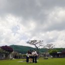 청주 옥화용소절경 펜션 솔직후기, 내돈내산
