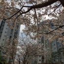 권선자이114공인중개사사무소 | 권선자이 e-편한 세상 아파트 살고 싶어요