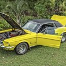 EU모터스 이미지