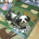 강북주유소 이미지