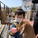 쥬라리움 테마파크 파주점 | 아이와 가볼만한 곳 주말 나들이 파주 프로방스 쥬라리움 실내동물원,키즈카페 솔직 후기:)
