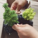 세봉농장 이미지