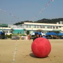 Re:2012년 10월 14일 (일) 낙산초등학교 총동창회& 체육대회 모습 이미지