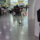 규원빌딩 | 니가 뭔데 계속 내 돈을 가져가?